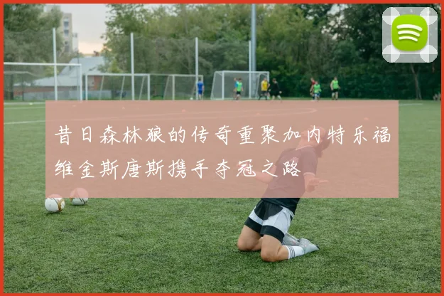 昔日森林狼的传奇重聚加内特乐福维金斯唐斯携手夺冠之路