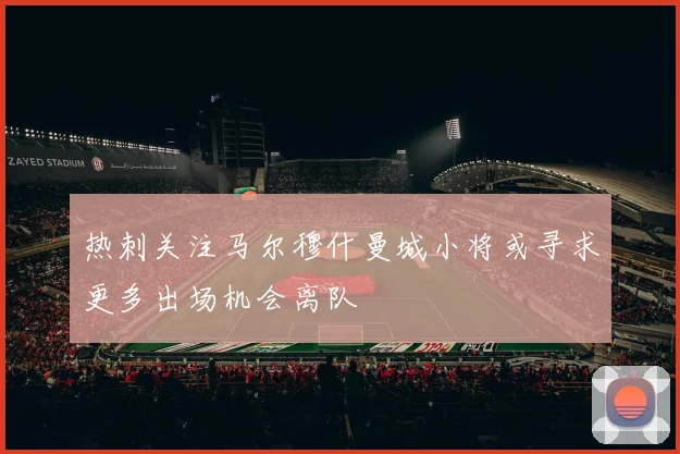热刺关注马尔穆什曼城小将或寻求更多出场机会离队