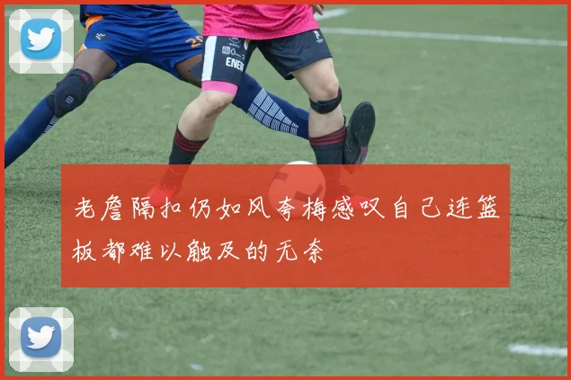 老詹隔扣仍如风夸梅感叹自己连篮板都难以触及的无奈