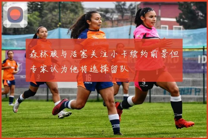森林狼与活塞关注小卡续约前景但专家认为他将选择留队